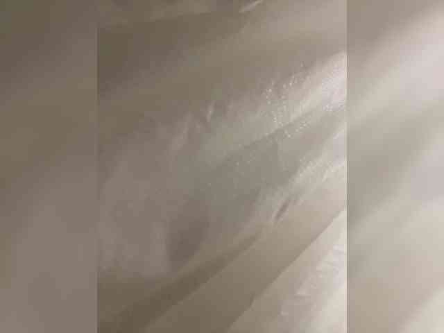 Himalai64748 webcam