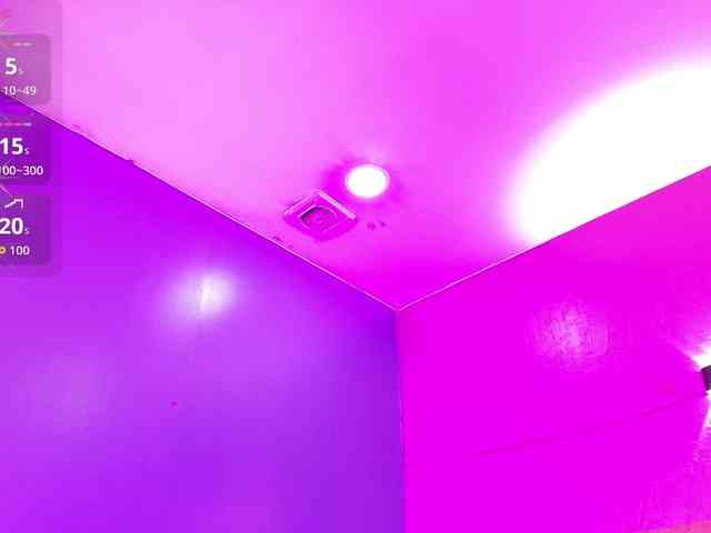 LittleCheerry webcam