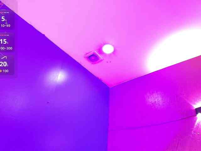 LittleCheerry webcam