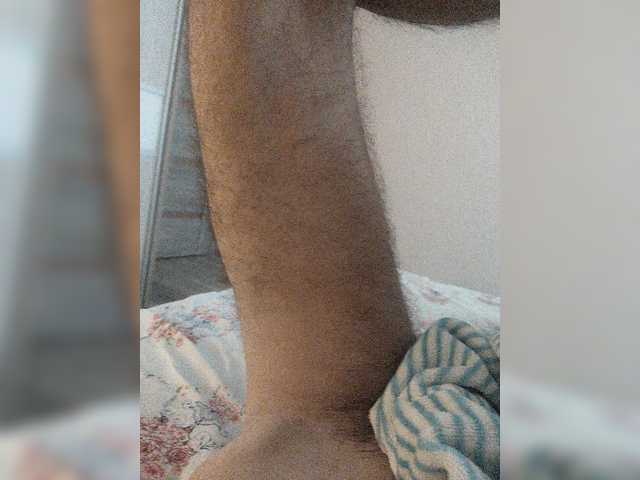 Teddykot live cam