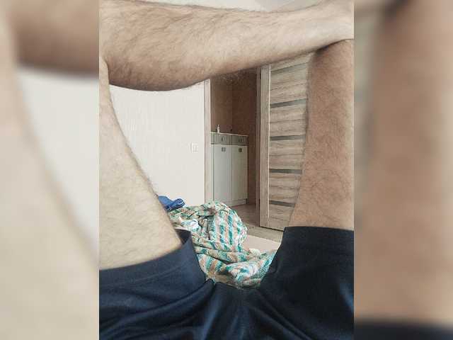 Teddykot