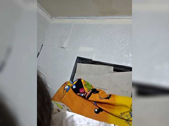 alexy2