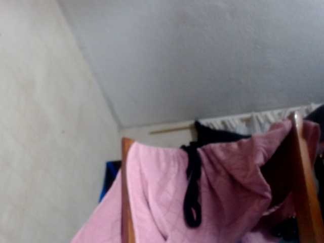 CameliaLong