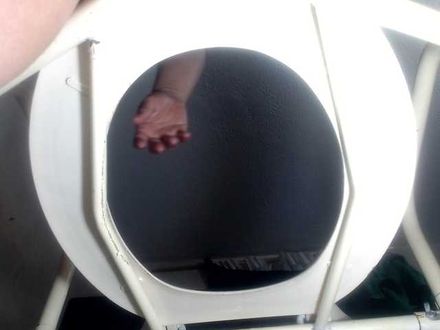 CameliaLong