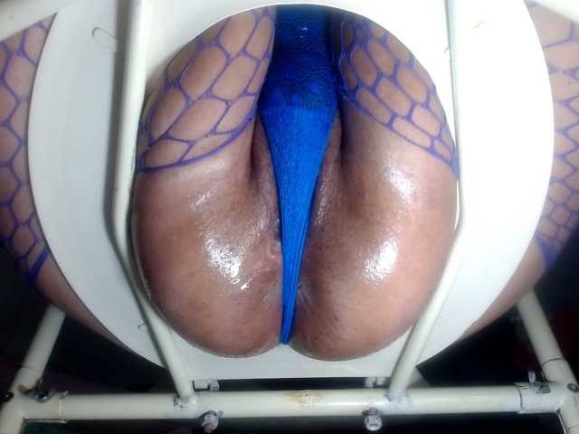 CameliaLong