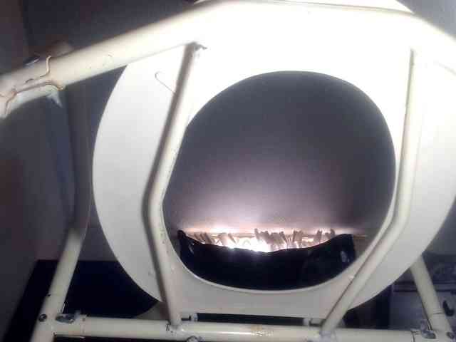 CameliaLong webcam