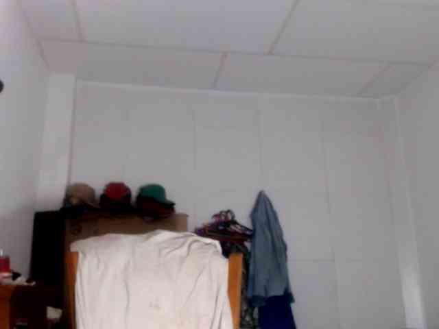 CameliaLong webcam