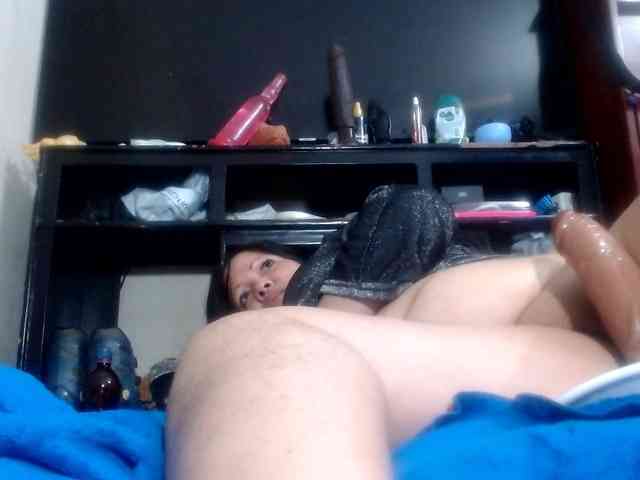 CameliaLong CameliaLong