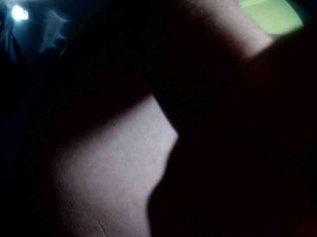 CameliaLong webcam