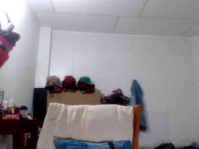 CameliaLong CameliaLong