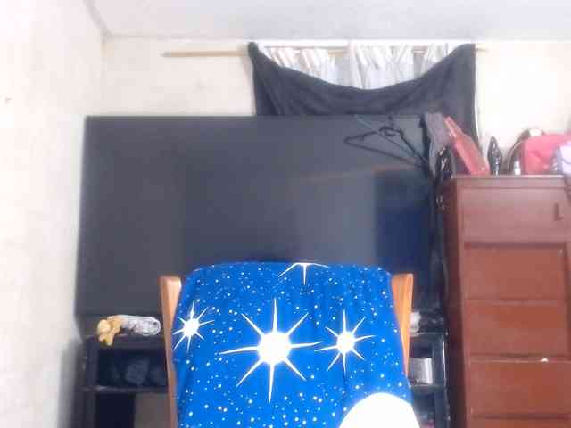 CameliaLong webcam
