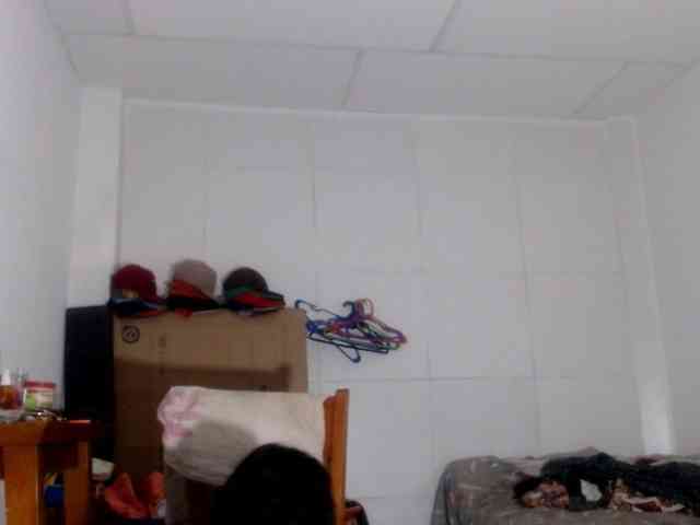 CameliaLong webcam