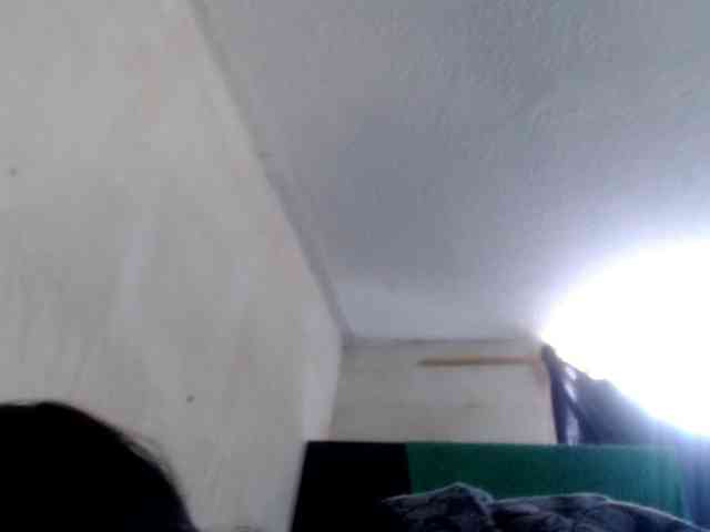 CameliaLong webcam