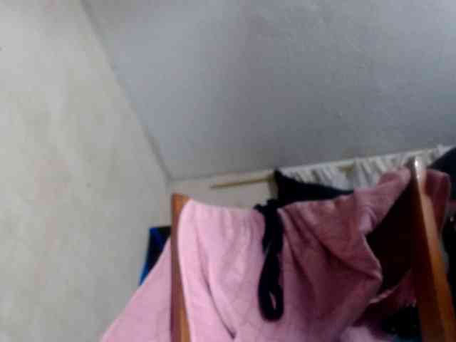 CameliaLong webcam
