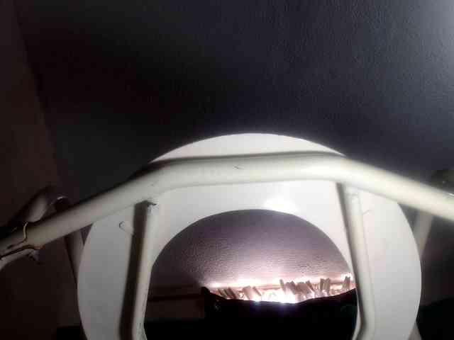 CameliaLong webcam