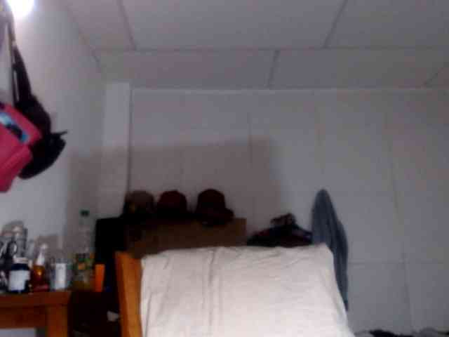 CameliaLong webcam