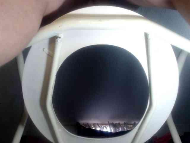 CameliaLong webcam