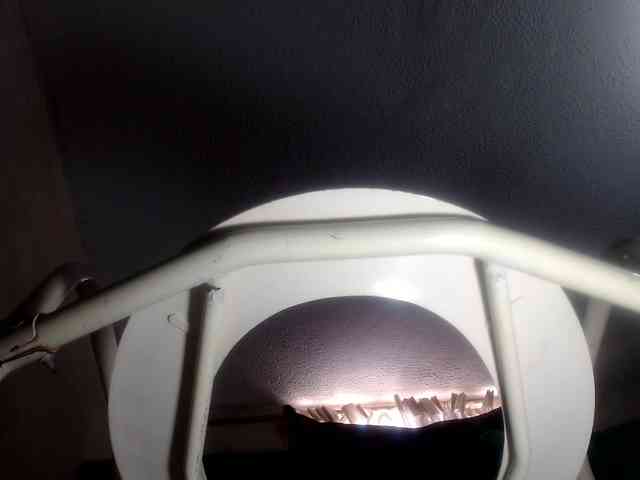 CameliaLong webcam