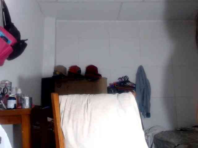 CameliaLong webcam