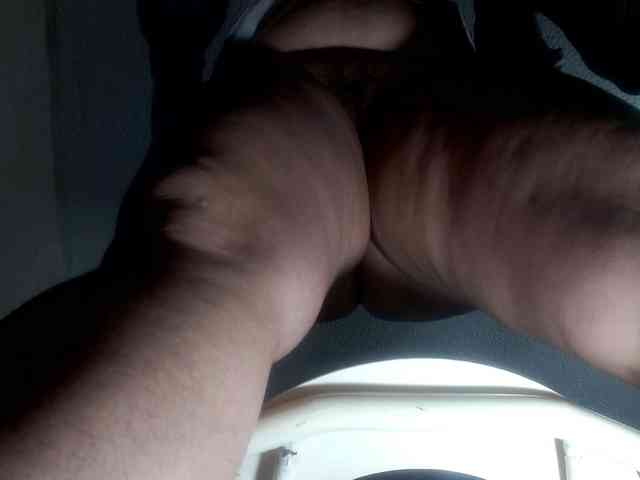 CameliaLong webcam
