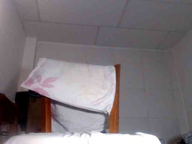 CameliaLong webcam