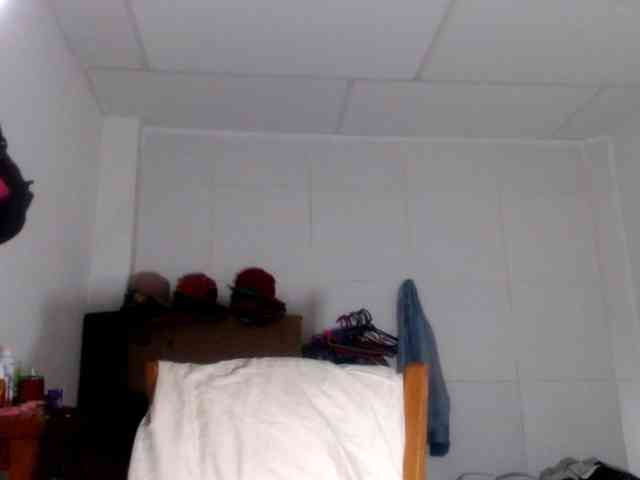 CameliaLong webcam