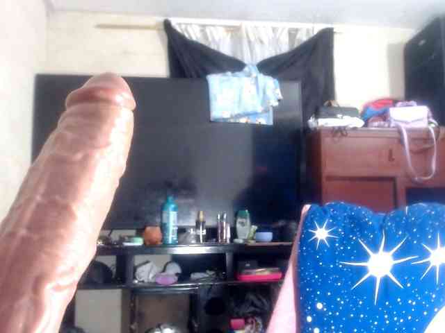 CameliaLong webcam