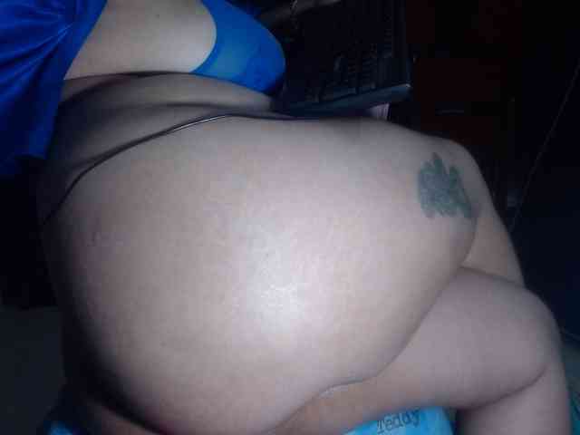 CameliaLong webcam