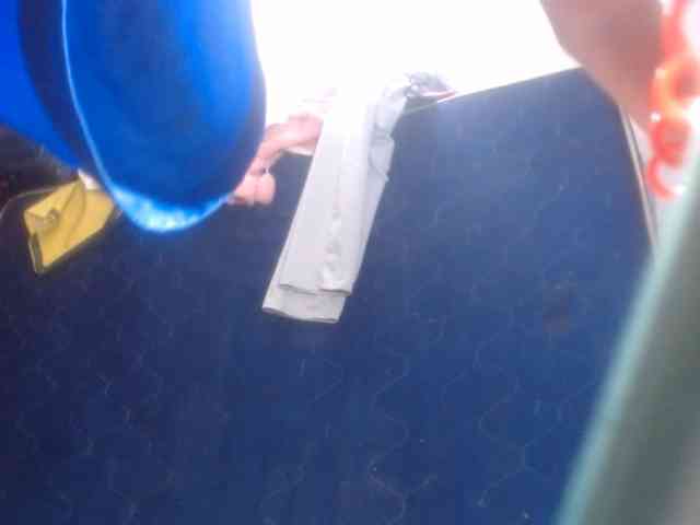 CameliaLong webcam