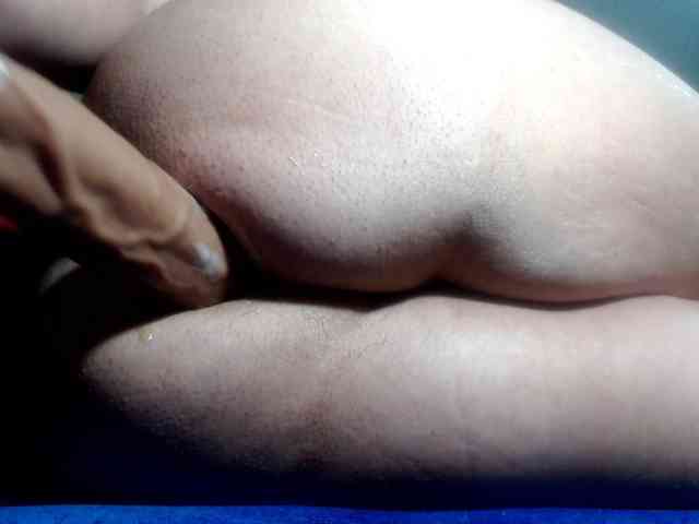 Modelo: CameliaLong