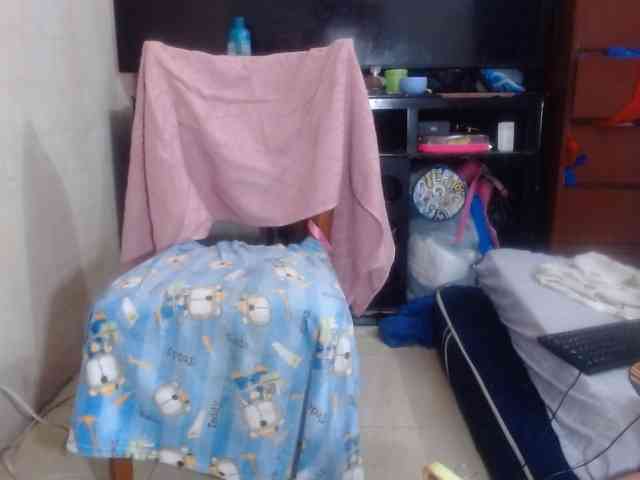 CameliaLong webcam