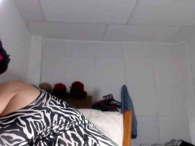 CameliaLong webcam