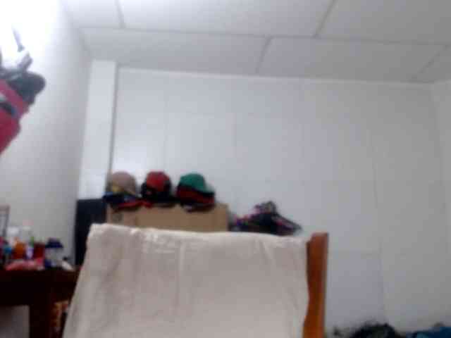 CameliaLong webcam
