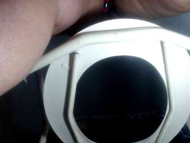 CameliaLong webcam