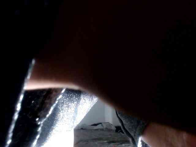 CameliaLong webcam