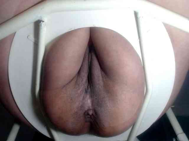 CameliaLong webcam