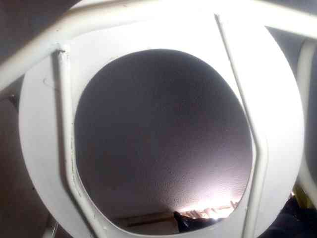 CameliaLong webcam