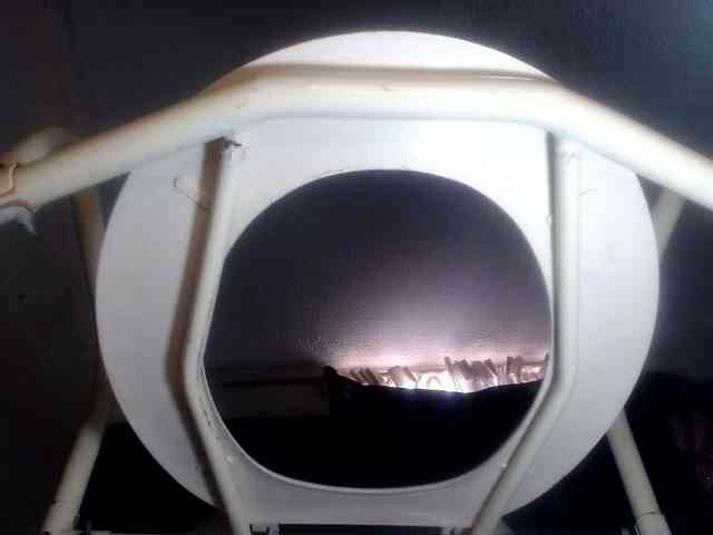 CameliaLong webcam