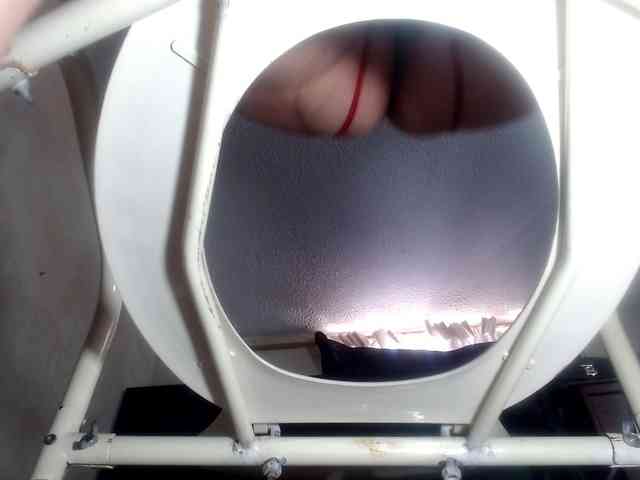 CameliaLong webcam