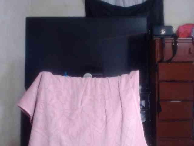 Modelo: CameliaLong