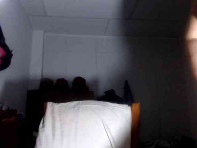 CameliaLong webcam