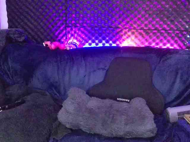 Fantasyca webcam