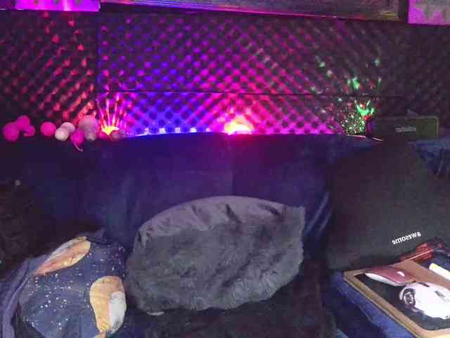 Fantasyca webcam