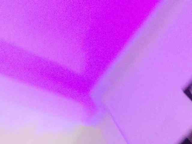 Fantasyca webcam