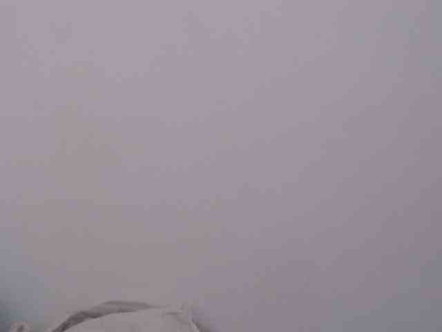 BritneyBlond webcam