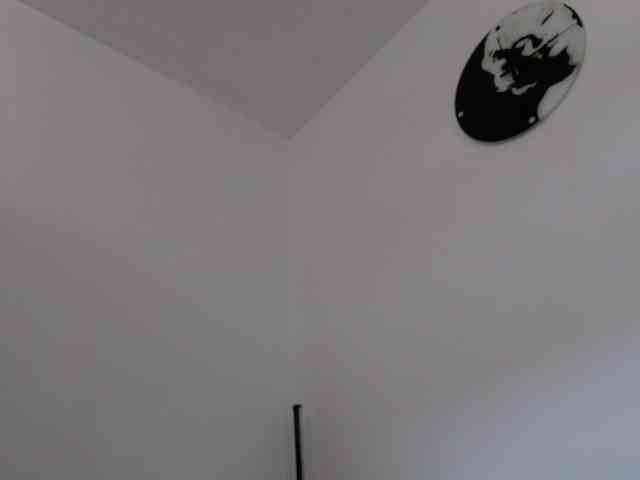 BritneyBlond webcam