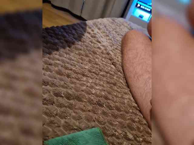 Wowa2317 Sex Cam Show
