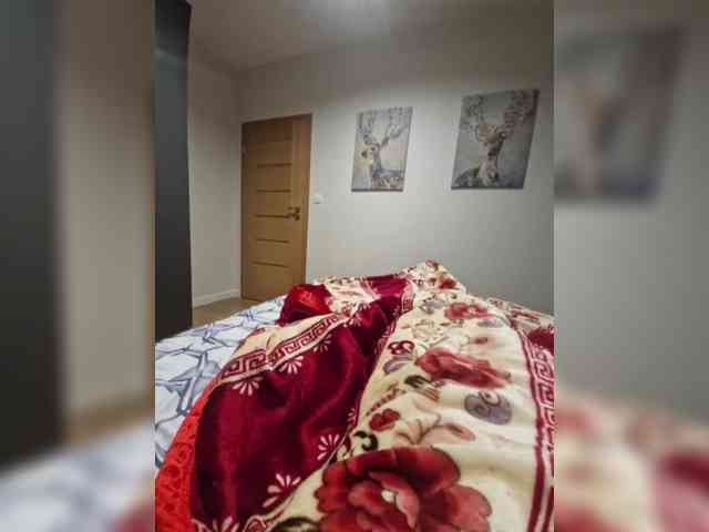 Wowa2317 Sex Cam Show