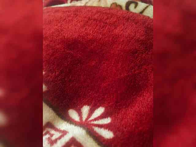 Wowa2317 Sex Cam Show