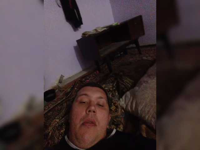 Plaksheri